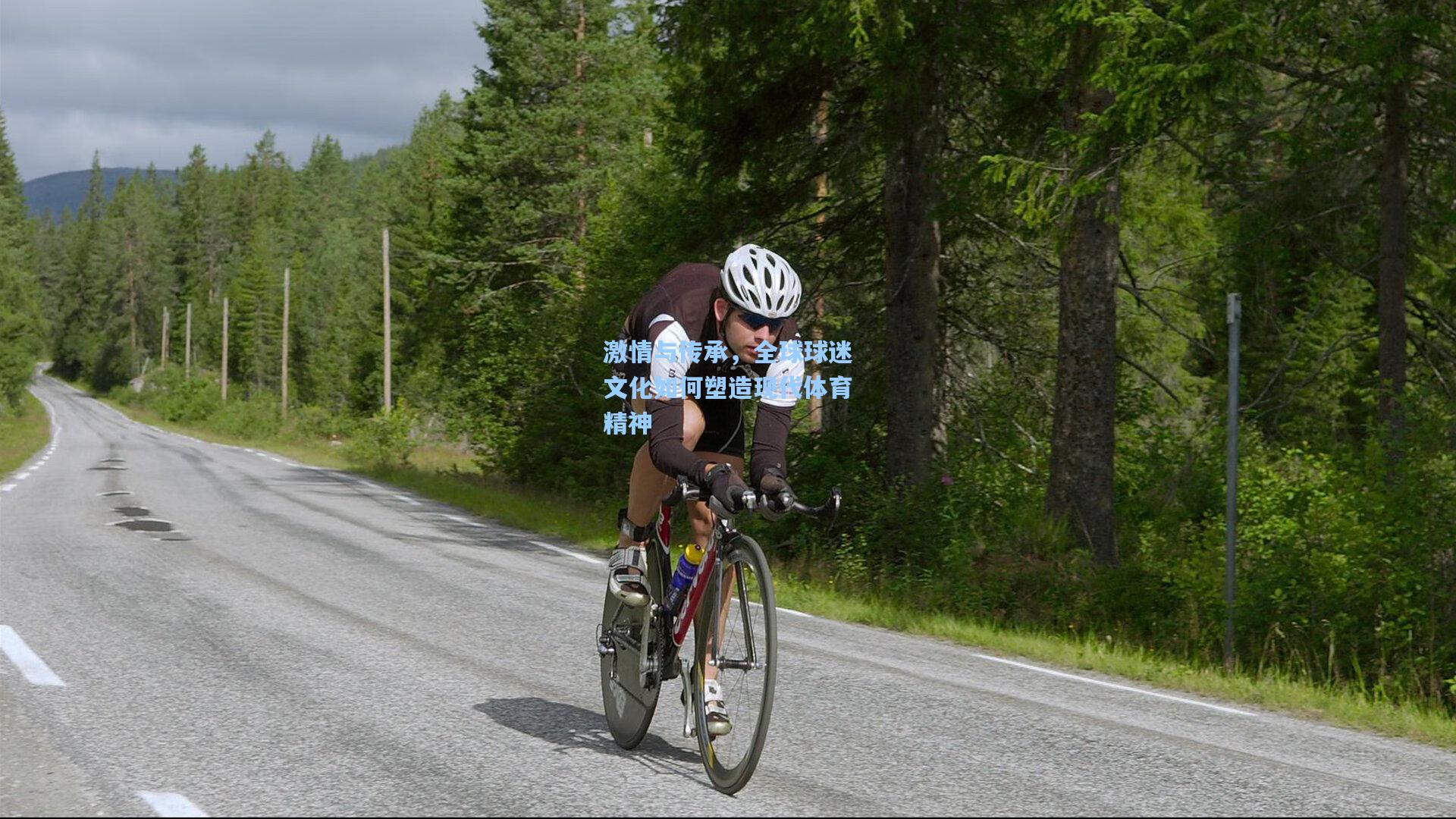 激情与传承，全球球迷文化如何塑造现代体育精神